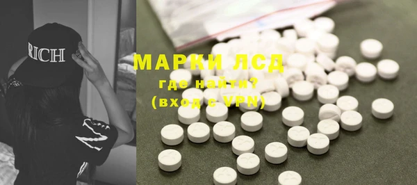 spice Вяземский
