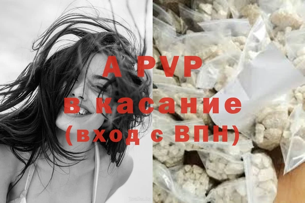 spice Вяземский