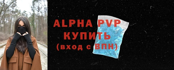 spice Вяземский