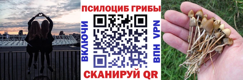 даркнет телеграм  Вольск  Галлюциногенные грибы ЛСД  купить наркотик 